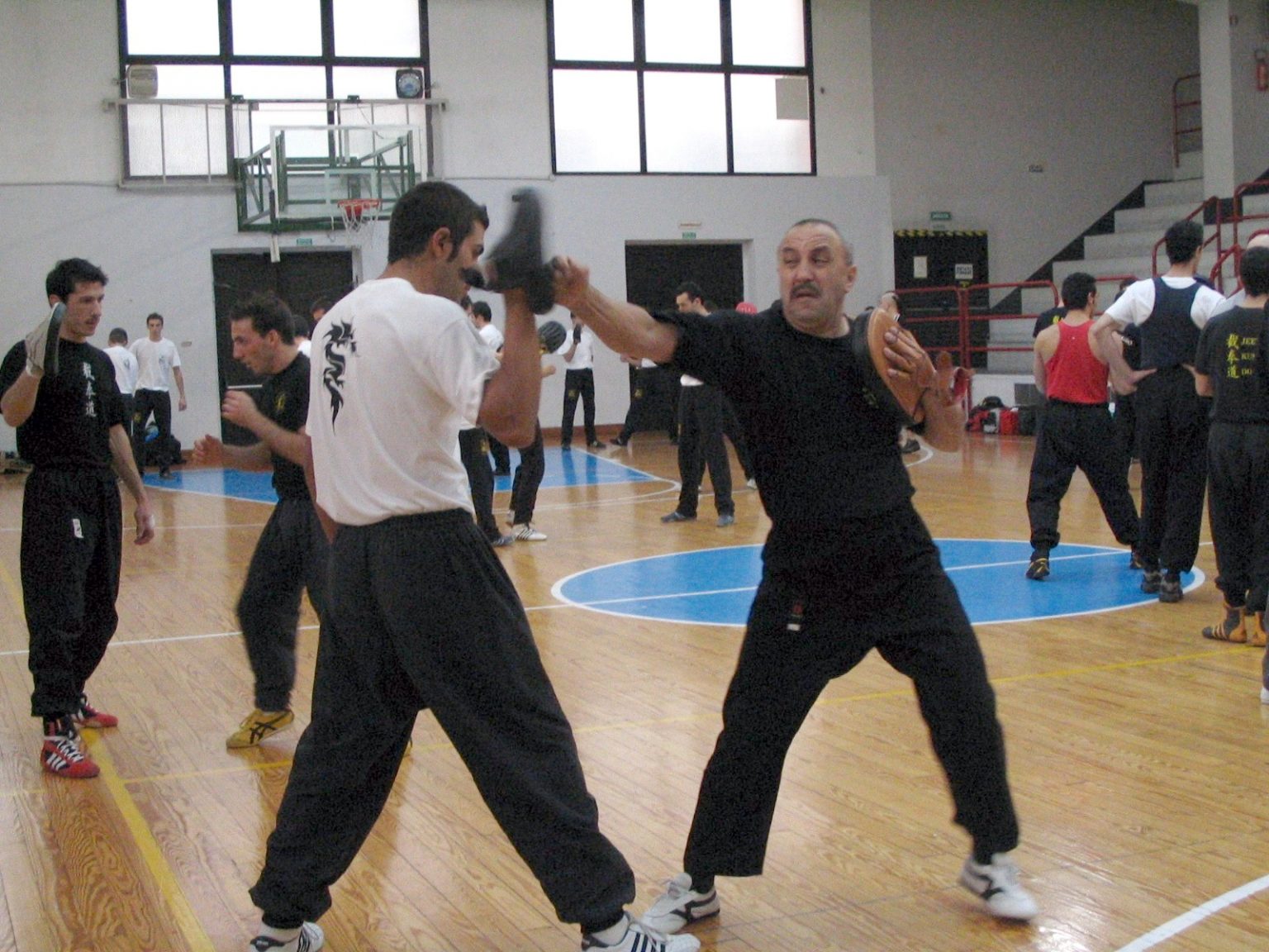 terzulli e ted wong - principi del jeet kune do terzulli e ted wong - principi del jeet kune do